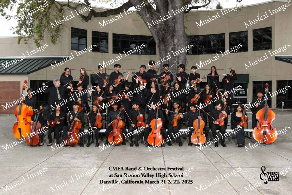 Musical Images